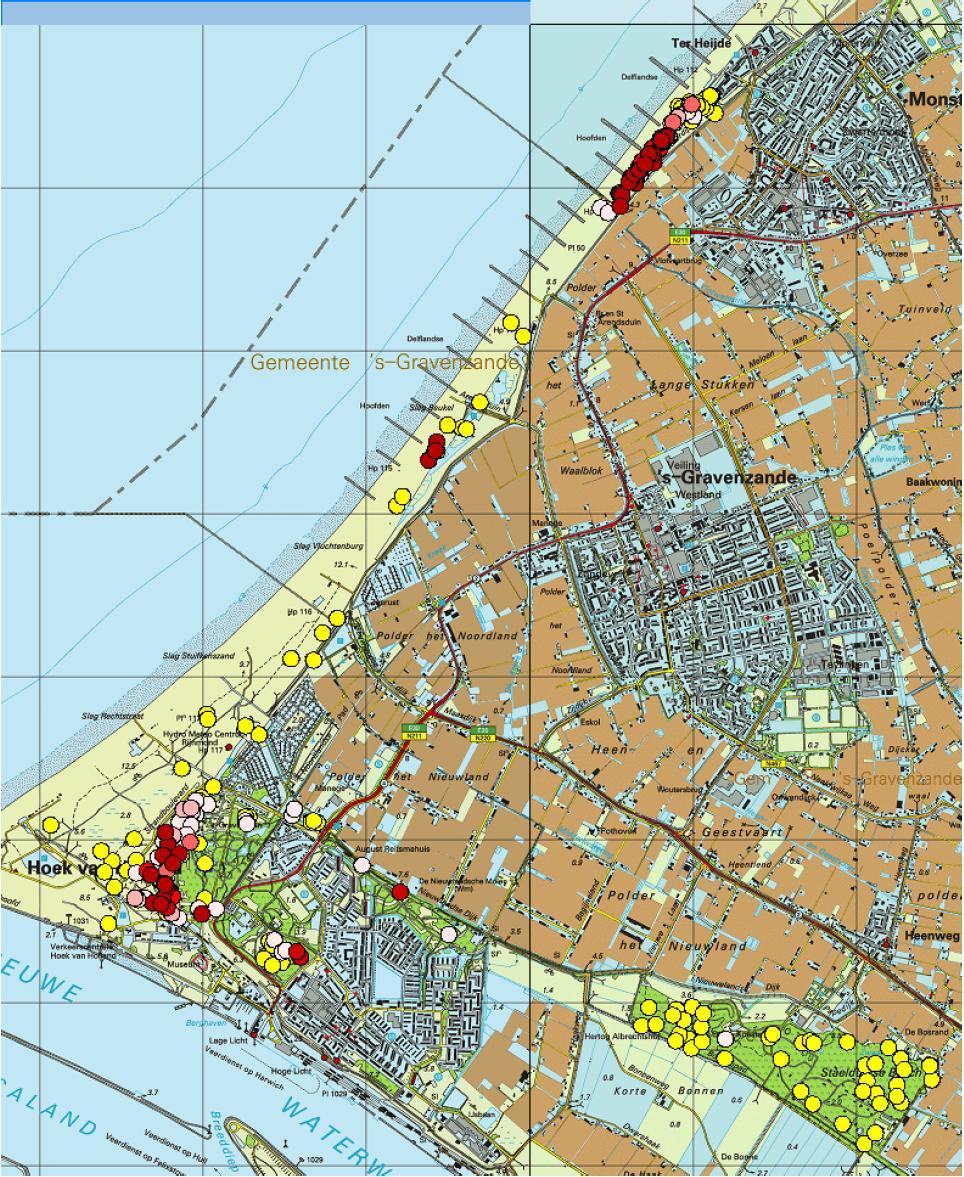 onderscheiden: het Vinetaduin, de duinen direct ten zuiden van Ter Heijde en in het Arendsduin. In Figuur 8 is de verspreiding in het zuidelijk deel van het Natura 2000-gebied weergegeven.