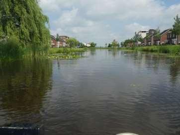 Hier zullen grote delen van de waterlelies verwijderd moeten worden en graskarpers ingezet moeten