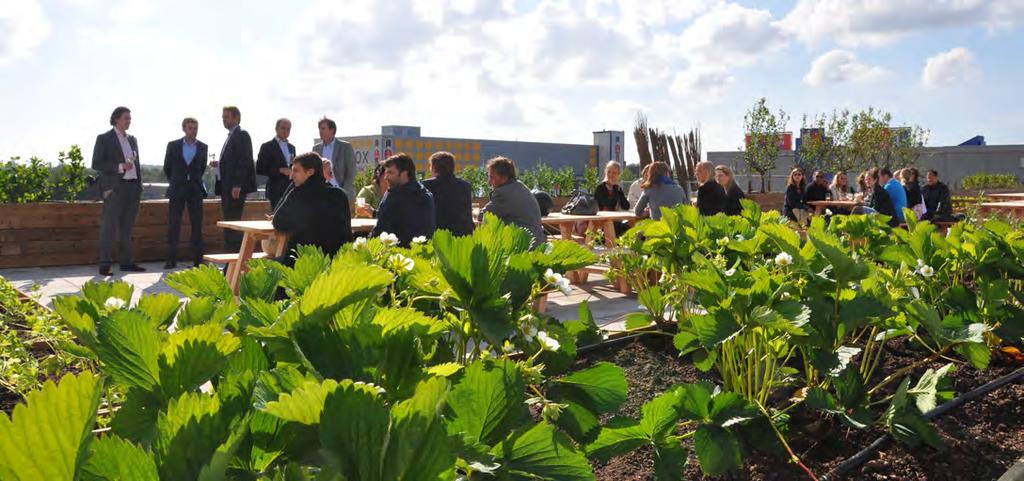 4. Grote vraag naar een betaalbare en niet aan enig religie gebonden feestzaal/party centrum; 5.