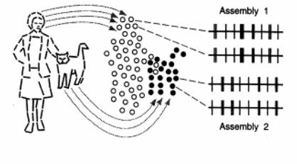 Perceptron (demo) Eenvoudige leerregel Gegarandeerde convergentie: