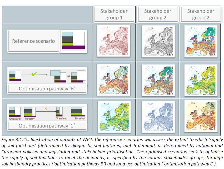 ECOBE ontwikkeltbinnenlandmark eenruimtelijkexplicietbeoordelingskader(model) Experimentele sites landbouwonderzoek + Regionale datasets met een hoge databeschikbaarheid CONCEPTUELE MODELLERING (obv