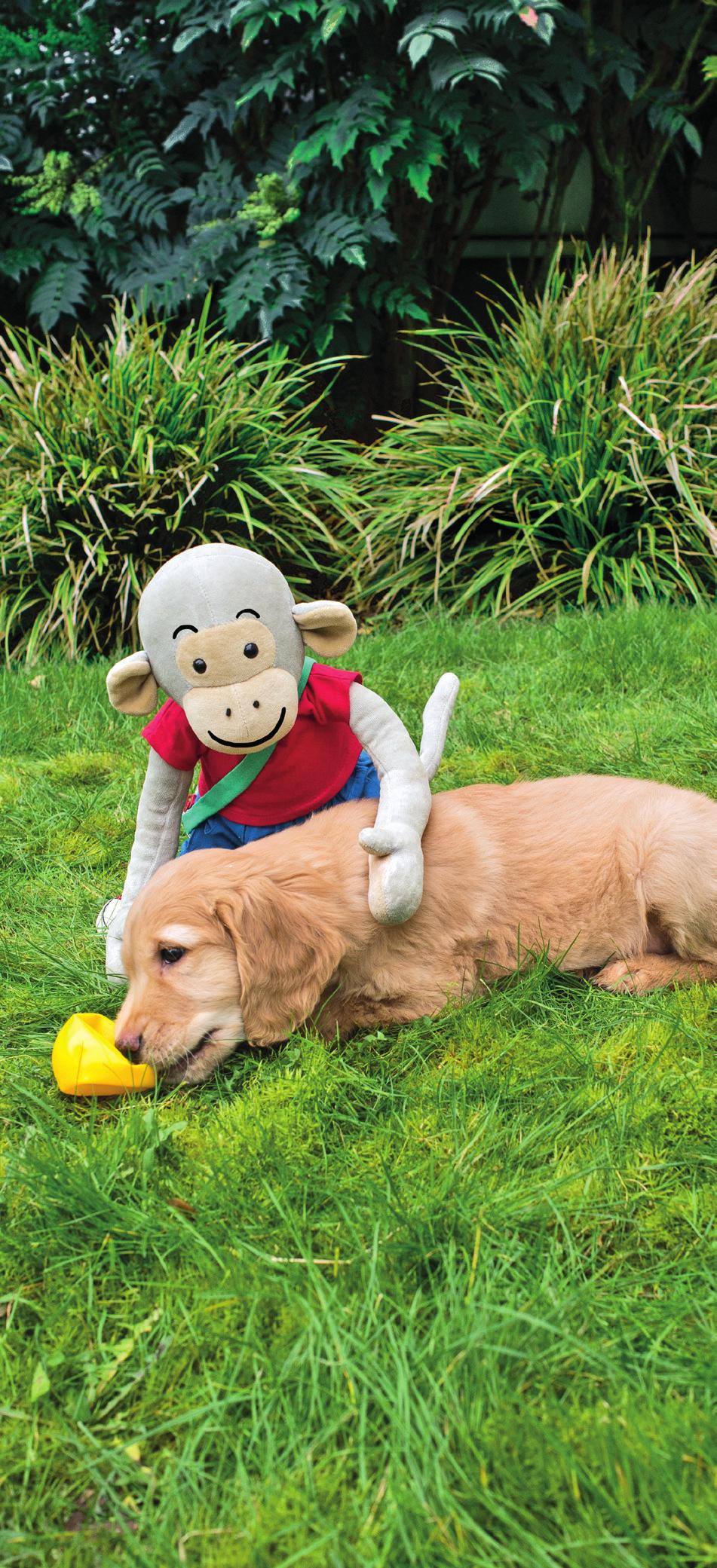 Er zijn in PIPPO nog meer jonge dieren te ontdekken.