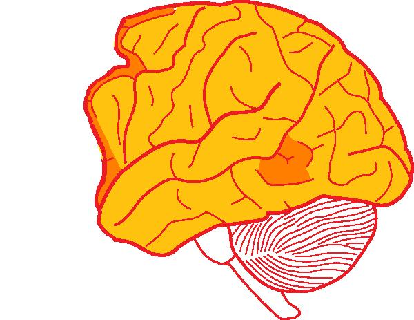 kuntgebruikenomempathietetonen, maar daarbij blijft minder capaciteit over voor andere cognitieve