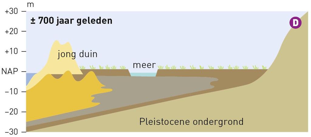 ( Hoe!ontstaat!een!waddengebied!eigenlijk?!Je!hebt!drie!dingen!nodig.!Allereerst!een!ondiepe!kust,!zodat!er! sedimentatie!van!klei!en!zand!kan!plaatsvinden.!ten!tweede!moet!er!bescherming!zijn!tegen!