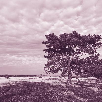 Natuur en landschap 2 De sector Natuur en Landschap is naast de verwerving van gronden en het beheer van de natuurgebieden verantwoordelijk voor de monitoring en de evaluatie van het beheer.