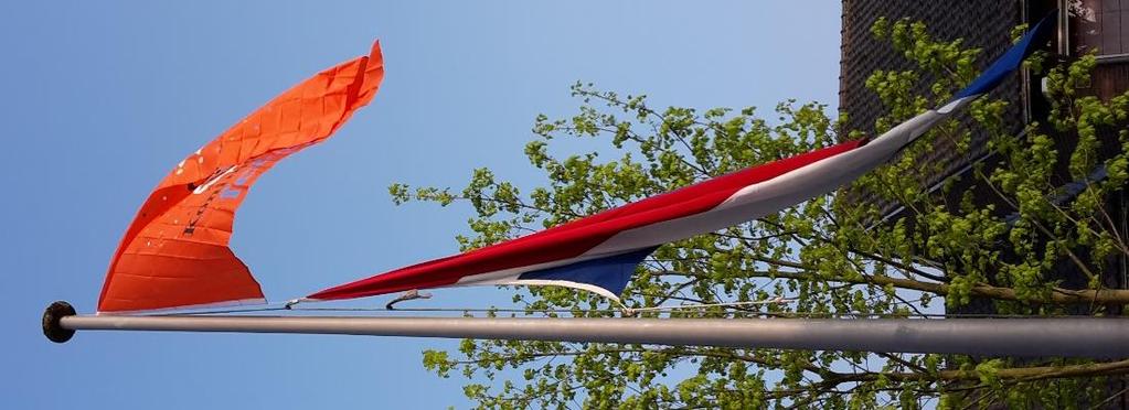 De groepen 1,2 en 3 waren te vinden in onze eigen Hoekse speeltuin en de