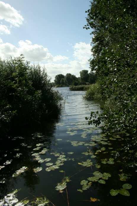 Gaasperplas NL11_3_2 Matig grote diepe gebufferde meren (M20) Visrechten waterlichaam Water Verhuurder Huurder Visrecht Gaasperplas Groengebied Amstelland Amsterdamse Hengelsport Vereniging (AHV)