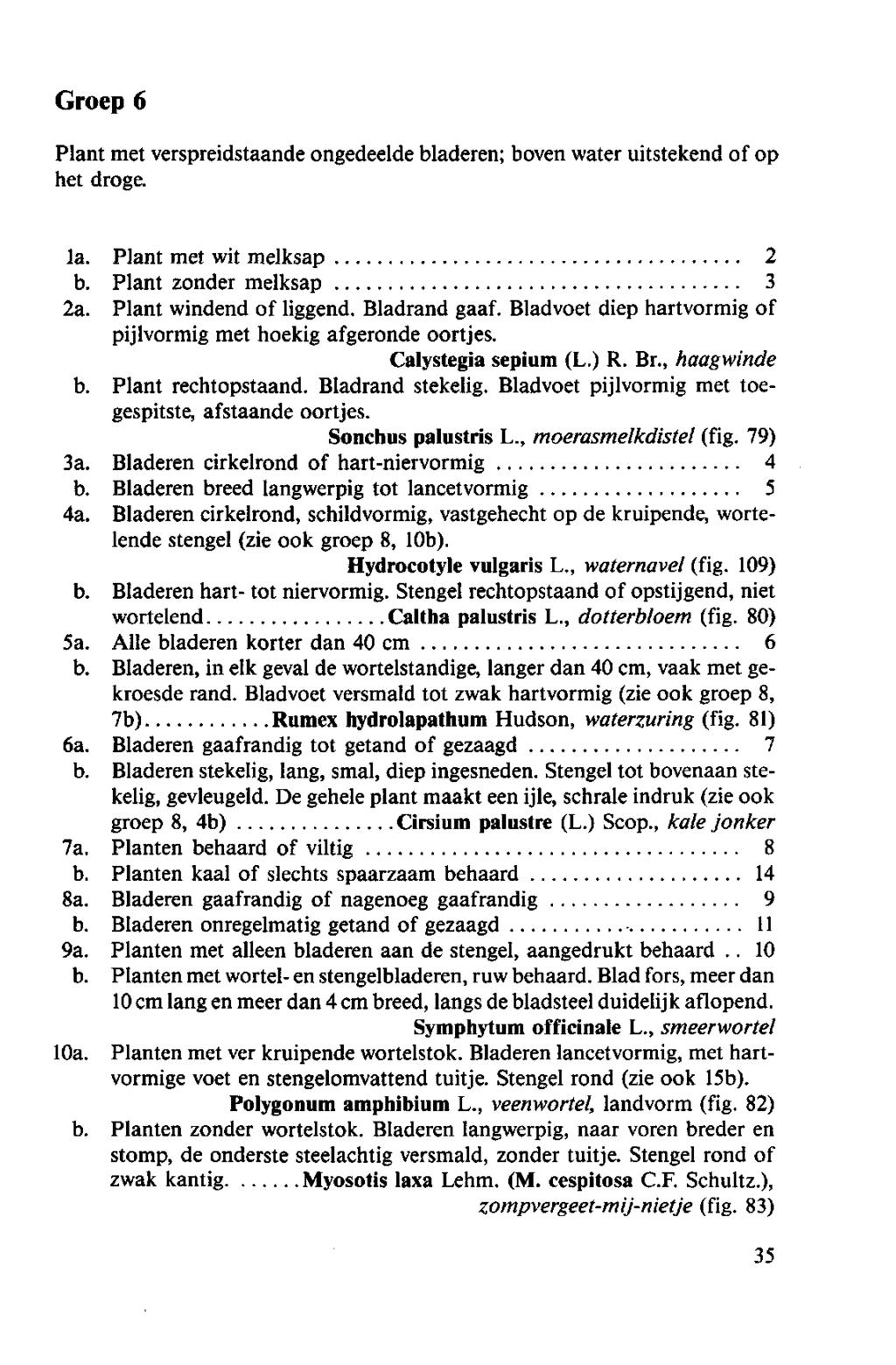 Groep 6 Plant metverspreidstaande ongedeelde bladeren; boven water uitstekend of op het droge. la. Plant met wit melksap 2 b. Plant zonder melksap 3 2a. Plant windend of liggend. Bladrand gaaf.