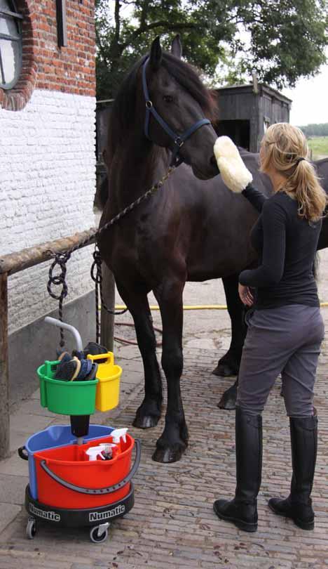 Carrousels Multifunctionele poetswagen, ideaal voor het groomen van paarden