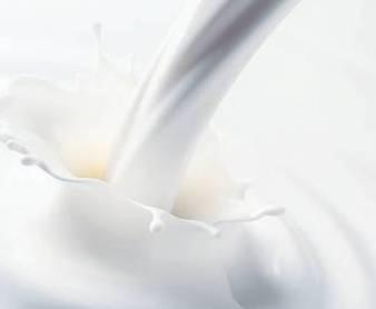 Om de geleverde melk te verwaarden Winstgevendheid De opdracht van een activiteit zonder ledenmelk is om winst te genereren boven de