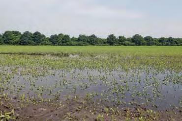 De hoosbuien van afgelopen zomer in Brabant en Limburg, zoals Rob Meeuwissen in Gastel, worden in verband gebracht met klimaatverandering en dat is weer niet los te zien van de industriele, op