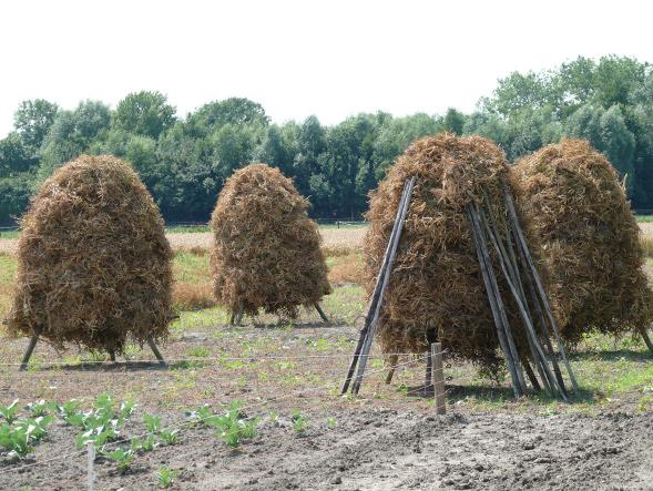 subsidies. Projecten in een Nationaal Landschap worden in tegenstelling tot andere projecten niet door DLG beoordeeld, maar door de regionale adviesgroep.