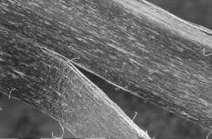 van het oppervlak De microscopische vezels De grondstof Voor onze Fibrofor High Grade gebruiken wij pure polyolefine.