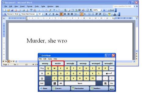 een computerprogramma dat het volledige toetsenbord en de muisfuncties weergeeft op het scherm. Andere benamingen zijn schermtoetsenbord of on-screen toetsenbord.
