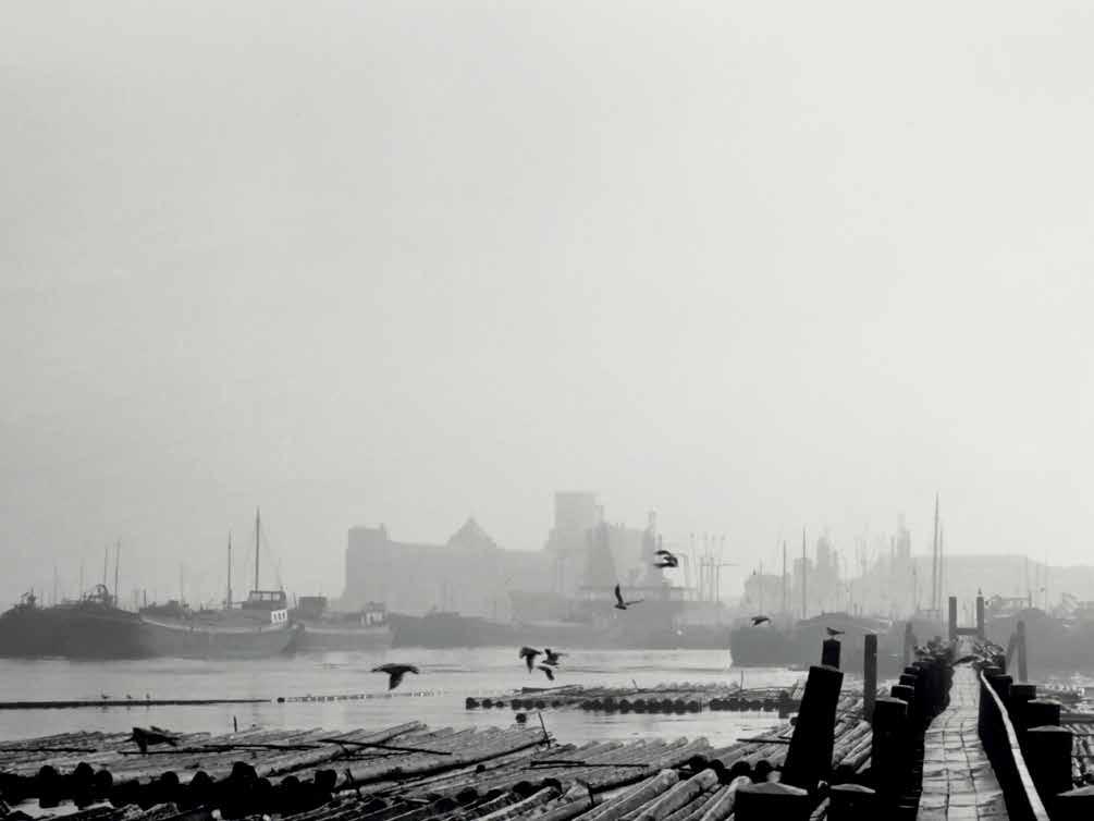 Amsterdam Houthaven, een idyllische plek met een indrukwekkende geschiedenis. Ooit het decor van drijvend hout, zover het oog reikt.