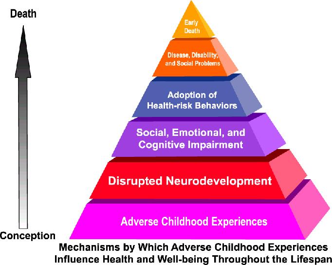 TRAUMA: ACE study