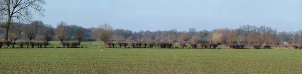 uitgangspunten herleid voor het ontwerp van de oostelijke rondweg: 1. Behoud van zoveel mogelijk historisch landschap en beperken van het ruimtebeslag van de rondweg. 2.