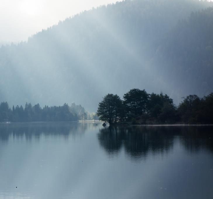 Nadat ook de andere leden kennis genomen hadden van hun werk, werden de foto' s via de beamer getoond en ontstond