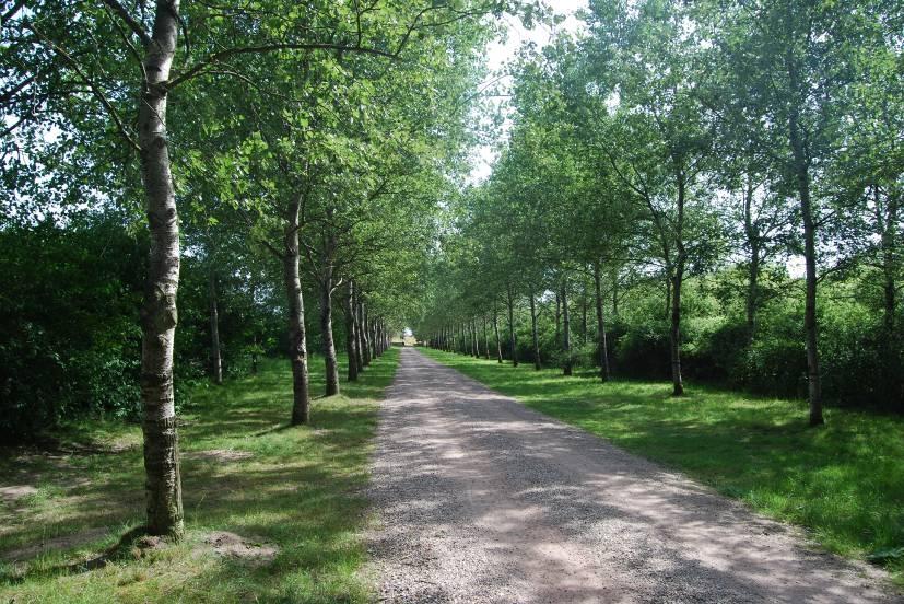 5.4.2 De effecten Landschappelijke structuur In alle alternatieven blijft de landschappelijke structuur van het gebied behouden: er vindt minimale vergraving plaats van het bestaande vaste land.