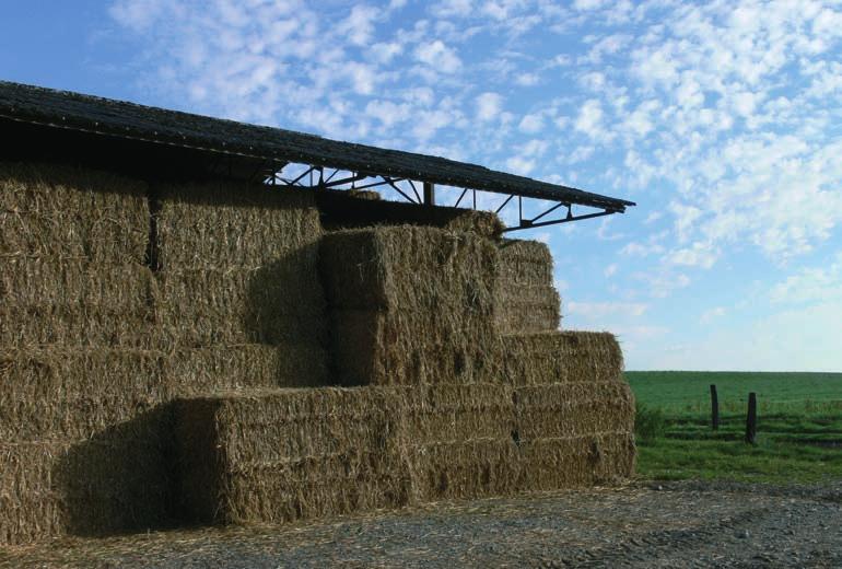 Niettegenstaande een groot verschil in celstofgehalte tussen perspulp en bieten, kon voor beide voedermiddelen eenzelfde SW van 1,05 per kg DS afgeleid worden.