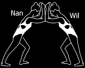 Opgave 14 Nan en Wil willen kijken wie de sterkste van de twee is. Ze proberen elkaar naar achteren te duwen zoals in de figuur hiernaast is afgebeeld.