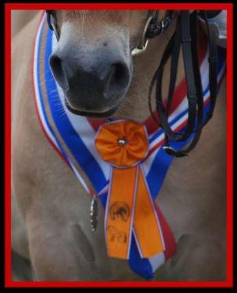 VERENIGING HET NED. FJORDENPAARDEN STAMBOEK Fjordendag met veulen-, stamboek- & premiekeuring Aanvang Fjordsport 09.30 uur o.v.b. Aanvang keuring 10.