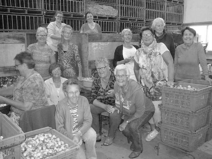 Het was weer reuze gezellig in de bollenschuur van Dick en Suzan Pronk aan de Rijperweg. In het totaal hebben de dames zo n 240 bakken weg gepeld. Dick en Suzan hebben het bedrag aangevuld tot 500.