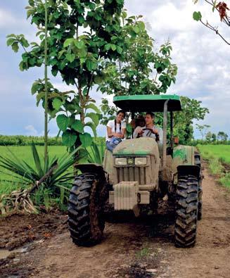 Waarom cacao in Ecuador? Ecuador is de ideale locatie Ecuador heeft een uitgesproken cacaogeschiedenis en is een van de toonaangevende cacaoproducerende landen in de wereld.