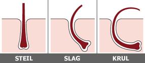 3.4 Eigenschappen van gezond haar 1. Het haar is vocht aantrekkend: het kan zich uitzetten en daardoor vocht opnemen. Deze eigenschap is belangrijk bij de structuurvorming.