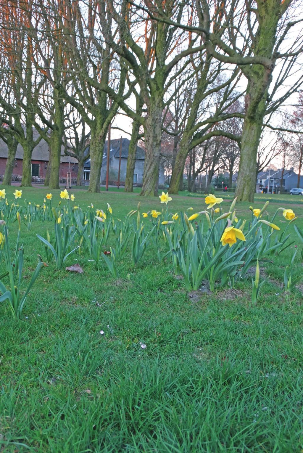 Vlakbij Tilburg ligt het Brabantse dorp Berkel-Enschot.