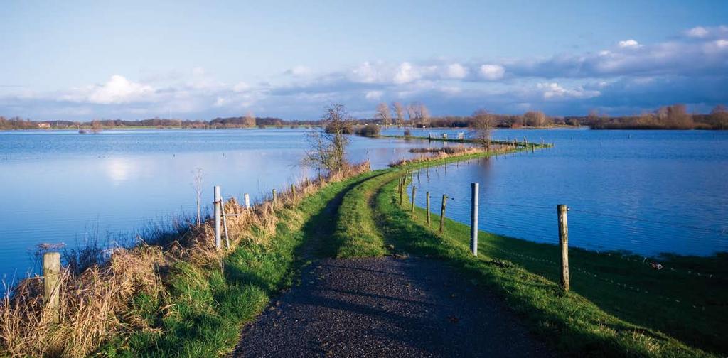 Waterbodembeheer Waterbodembeheer onderdeel onderdeel watersysteembeheer watersysteembeheer Een nieuwe, integrale Een nieuwe, integrale Waterwet Waterwet Om te kunnen voldoen aan de eisen die het