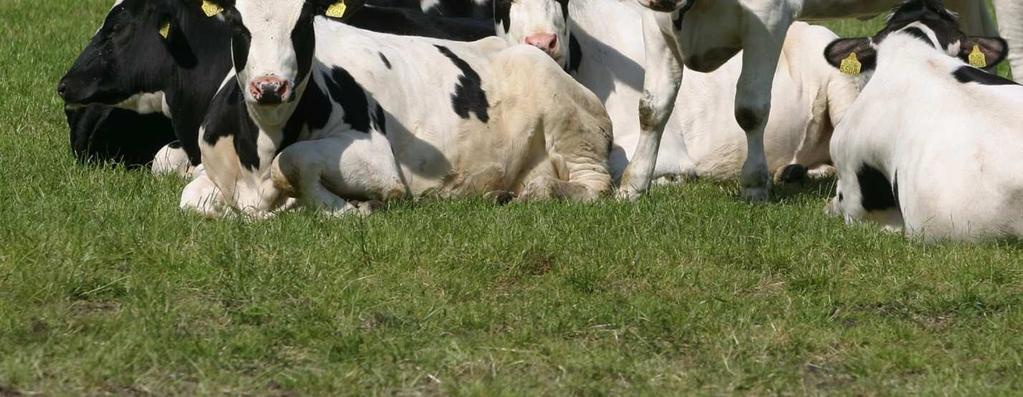 mnd binnen houden Meestal eerste jaar op