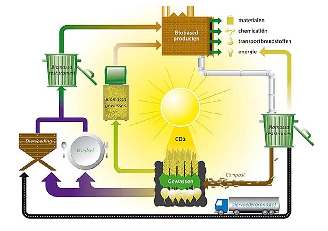 INLEIDING Figuur 1.1: Verbeelding van de bio-based economie 1 Box 1.