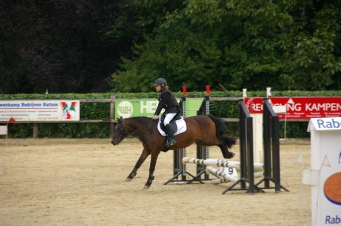 Workshopdag in de manege F- proeven Leden