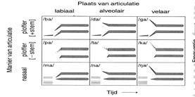 Antoord 1b: clah im pro vi é ren de kó per bla zer S S Antoord 1b: Clah opgelot en voldaan aan Phraal Rule ìm pro vi e ren de kó per bla zer S S 25 26 Akoetiek Akoetiek Antoord 2: a.