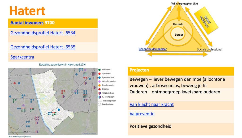 Website Gezonde wijk met informatie per wijk: Key-partners wijkprofiel 1 e lijns