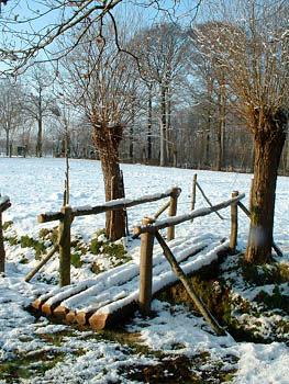 Natuurgebieden in Jabbeke Paul van Leest (Bron: websites Natuurpunt centraal en West-Vlaanderen) Op 10 januari brengen we een bezoek aan onze zusterafdeling in Jabbeke in West-Vlaanderen.