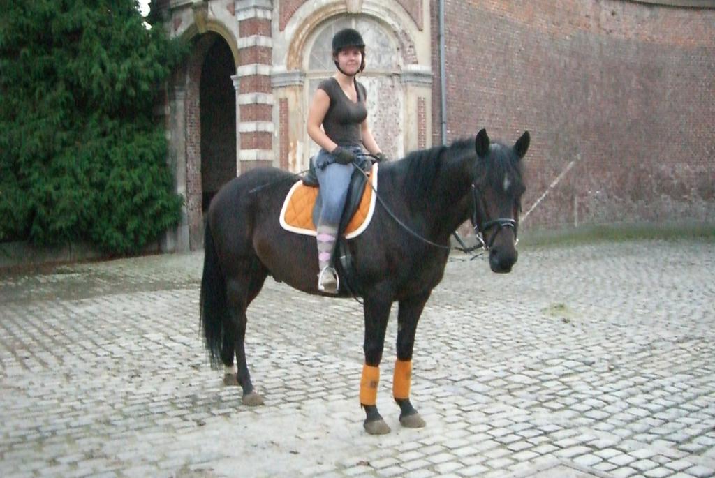 Nu gaat hij elke dag op de weide, samen met een ander paard. Wanneer ik thuis ben longeer ik hem of rijd op hem.