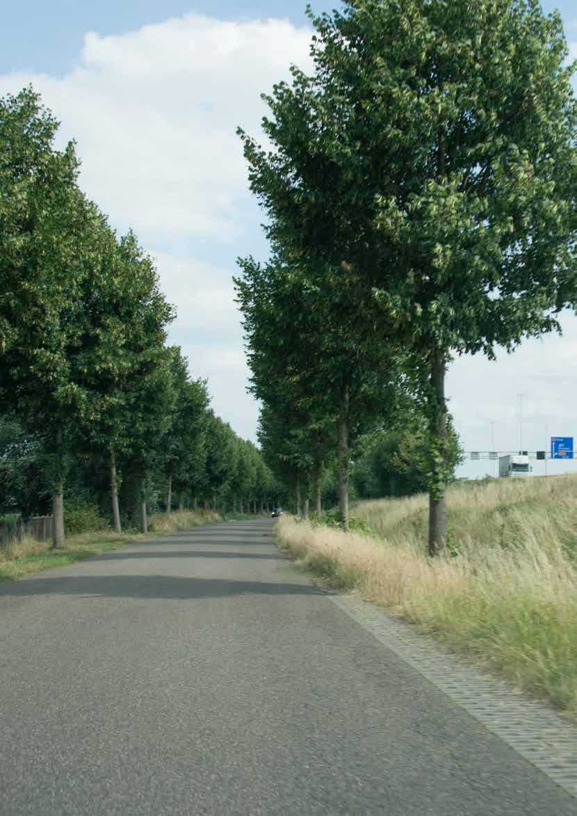 Zicht vanuit omgeving Inpassingsvisie Oirschot -