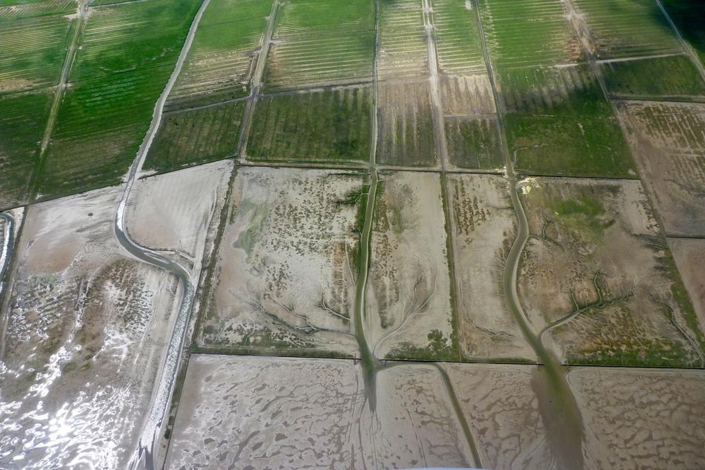 Marconi Buitendijks Alleen schade wordt vergoed => geen vergoeding over subsidiedeel Extra sediment vraag a.g.v. bodemdaling?