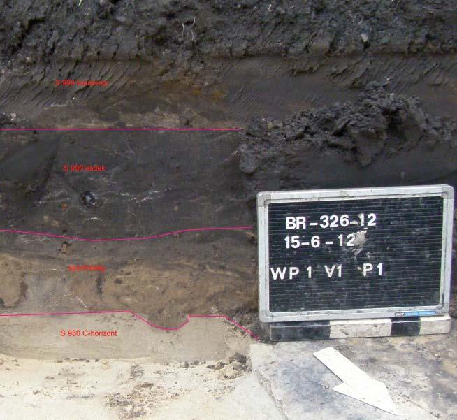 7 RESULTATEN 7.1 Ondergrond en stratigrafie De ondergrond van het plangebied bestaat uit dekzand waarop een esdek is opgeworpen.