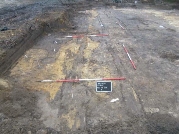 Greppel S 184 is gelegen op de grens tussen werkput 2 en 3, en heeft afmetingen van 18 x 35 centimeter. Er zijn geen vondsten in de greppeltjes aangetroffen waardoor deze te dateren zijn.