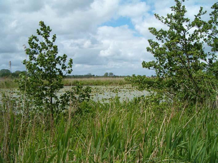 Gemeente: Eigendom: Zederik Waterschap, Zuid-Hollands