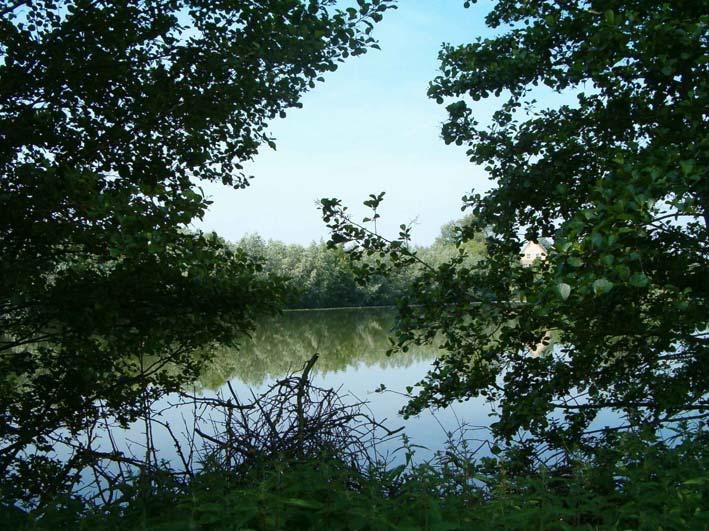 HEN Gemeente: Eigendom: Leerdam Zuid-Hollands Landschap,