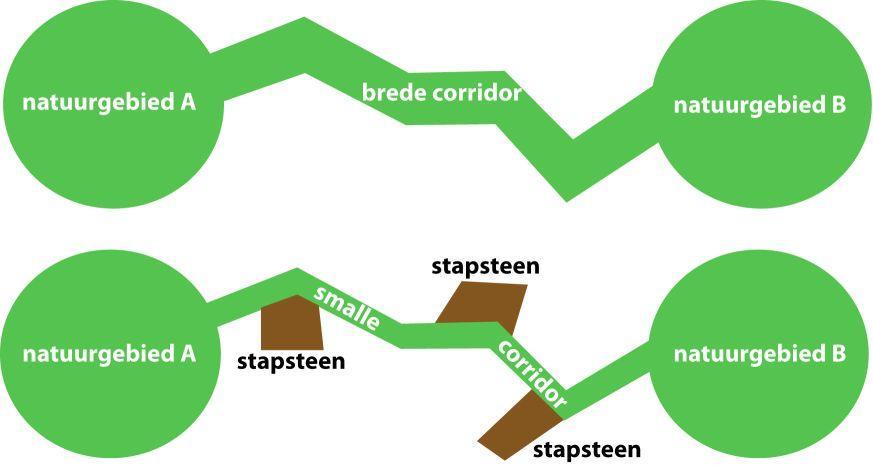 2 Beleid EVZ s In 1996 is de Leidraad realisering ecologische verbindingszones opgesteld door de provincie Noord-Brabant.