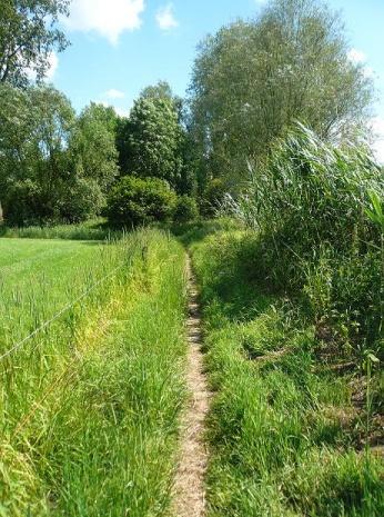 5) Bij bordje Mari- Landica pad, wit/gele en geel/rode makering volgen. Het pad gaat langs het riviertje de n Dommel, en is erg mooi. We passeren enkele stegelkes.