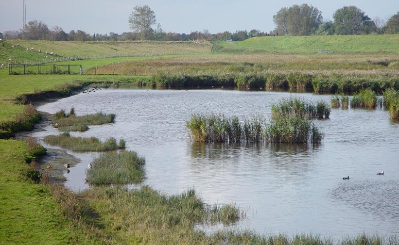 Fietsroute Inlagen