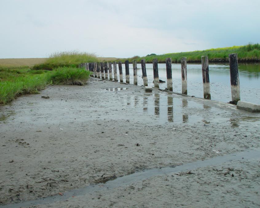 Natuur Dichtbij Mensen