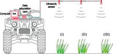 afstervende biomassa. Trotter et al. (2013) onderzochten in hun studie hoe goed actieve Red/NIR sensoren onder veldomstandigheden de hoeveelheid biomassa kunnen aangeven.