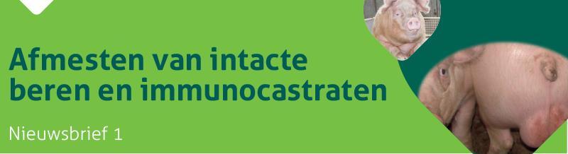 Beste lezer, In het kader van het ADLO Demonstratieproject Optimalisatie van het houden van intacte beren en immunocastraten bezorgen we u graag een tweede nummer van onze nieuwsbrief.